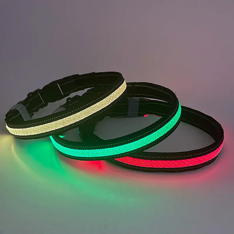 LED Light Up Collar