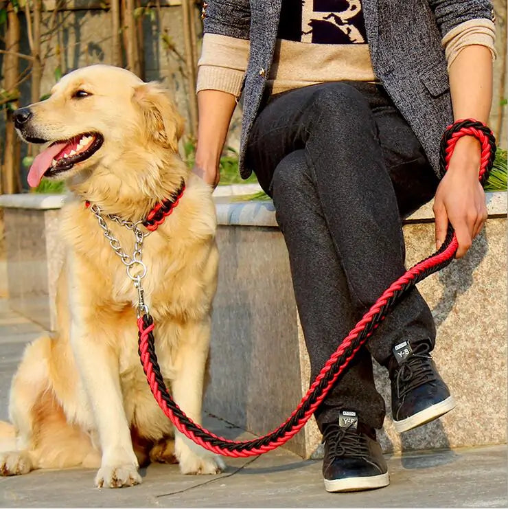 Braided Leash & Collar Combo