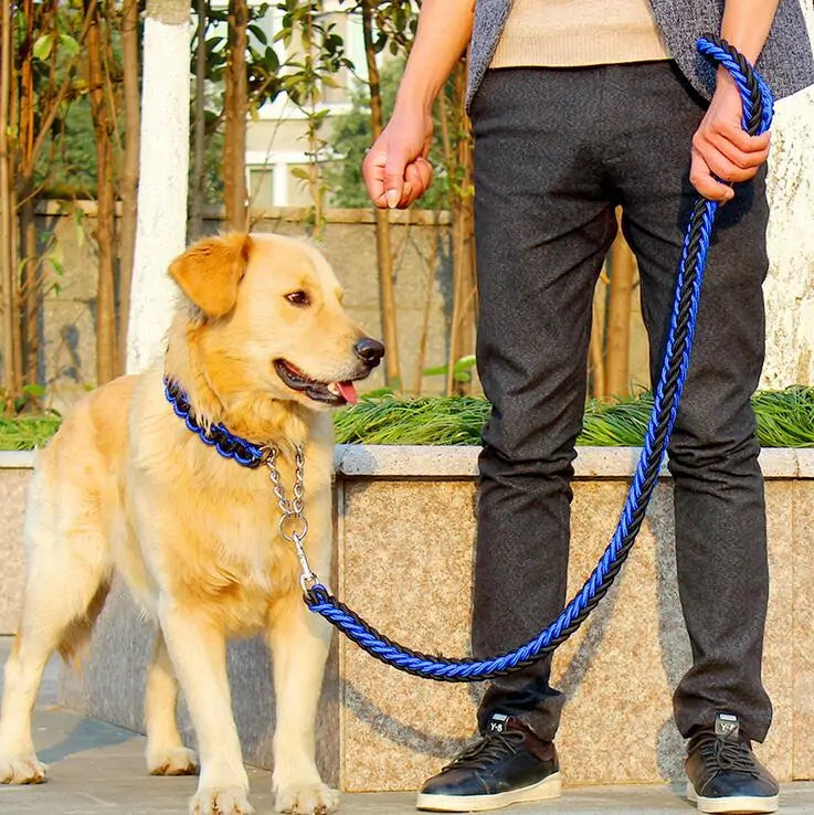 Braided Leash & Collar Combo