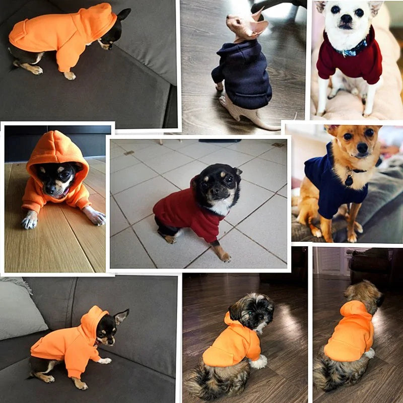 Cozy Hoodie for Small Dogs