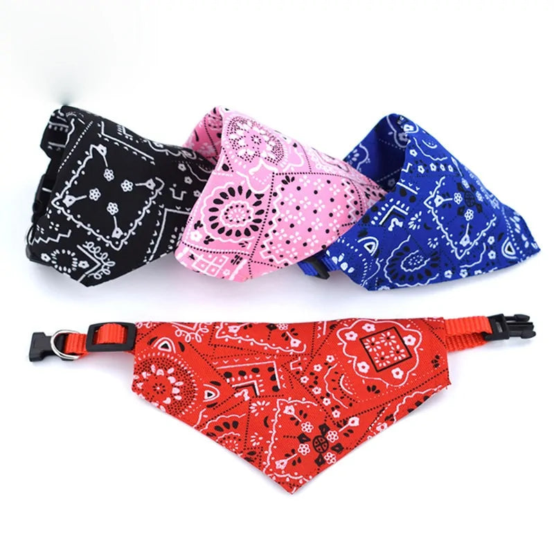 Bandana Collar