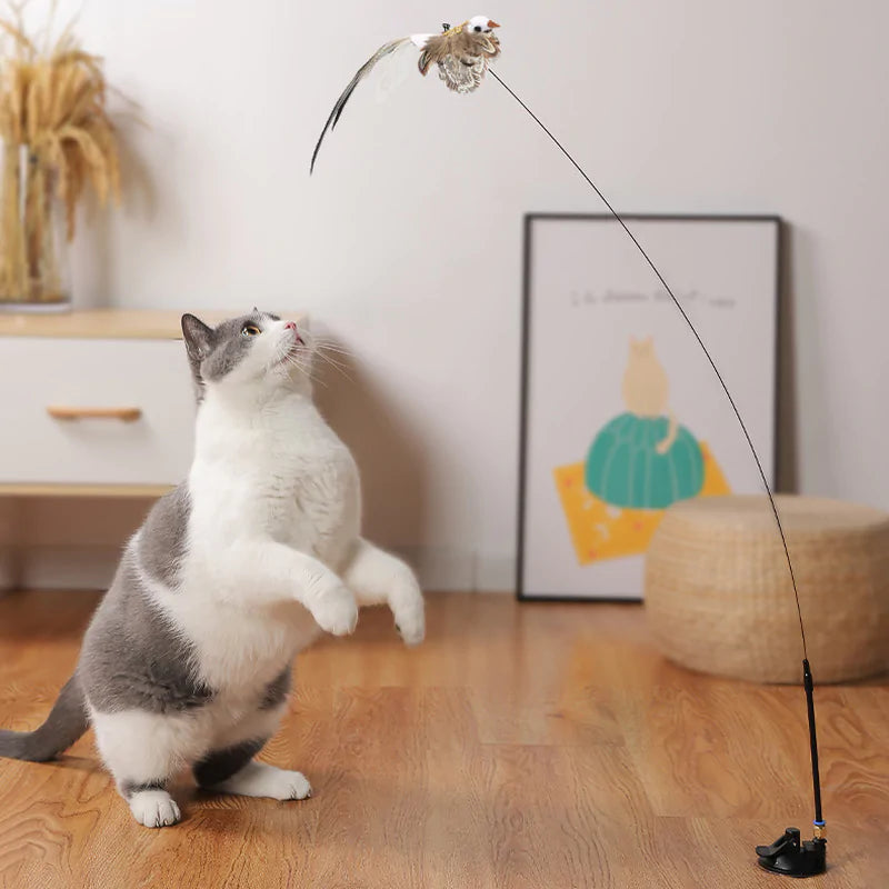 Bird Toys For Cats