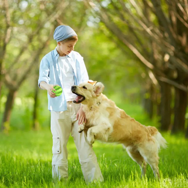 Interactive Rubber Dog Toy