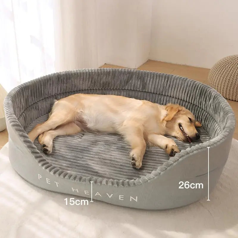 Orthopedic Dog Bed