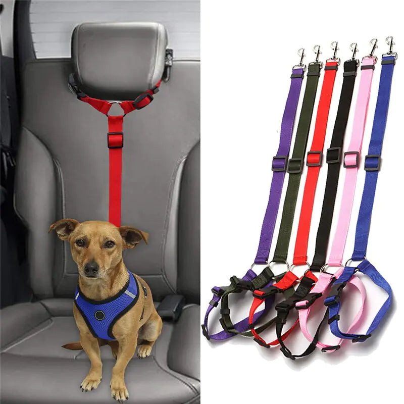 Dog Seatbelts