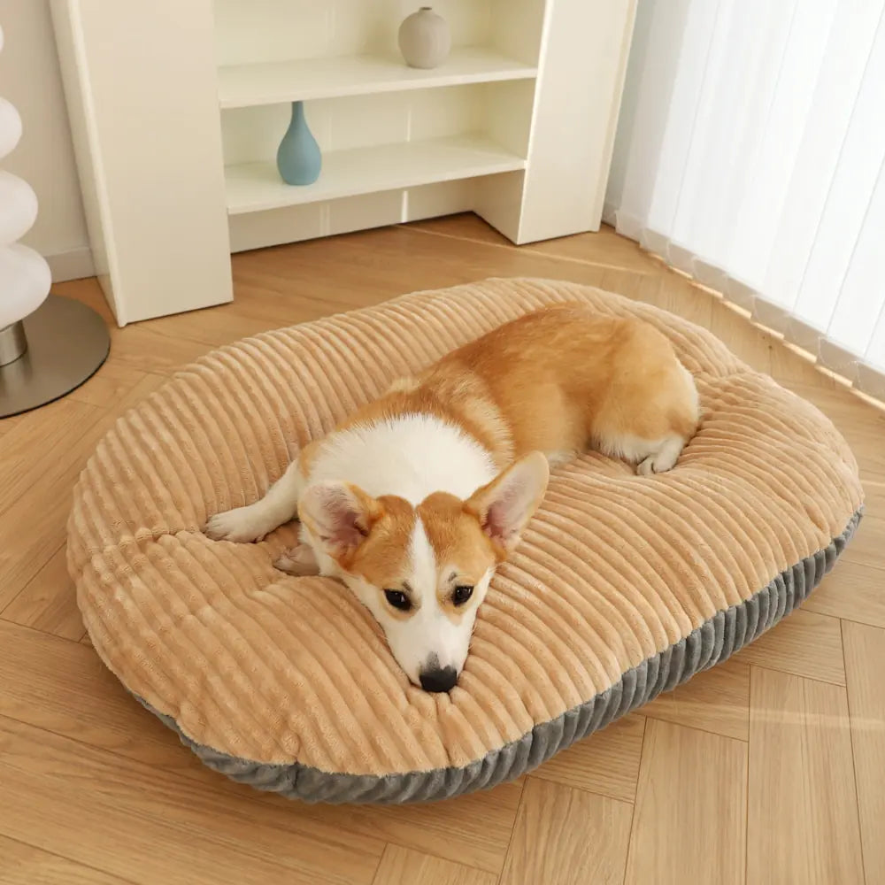 Orthopedic Dog Bed