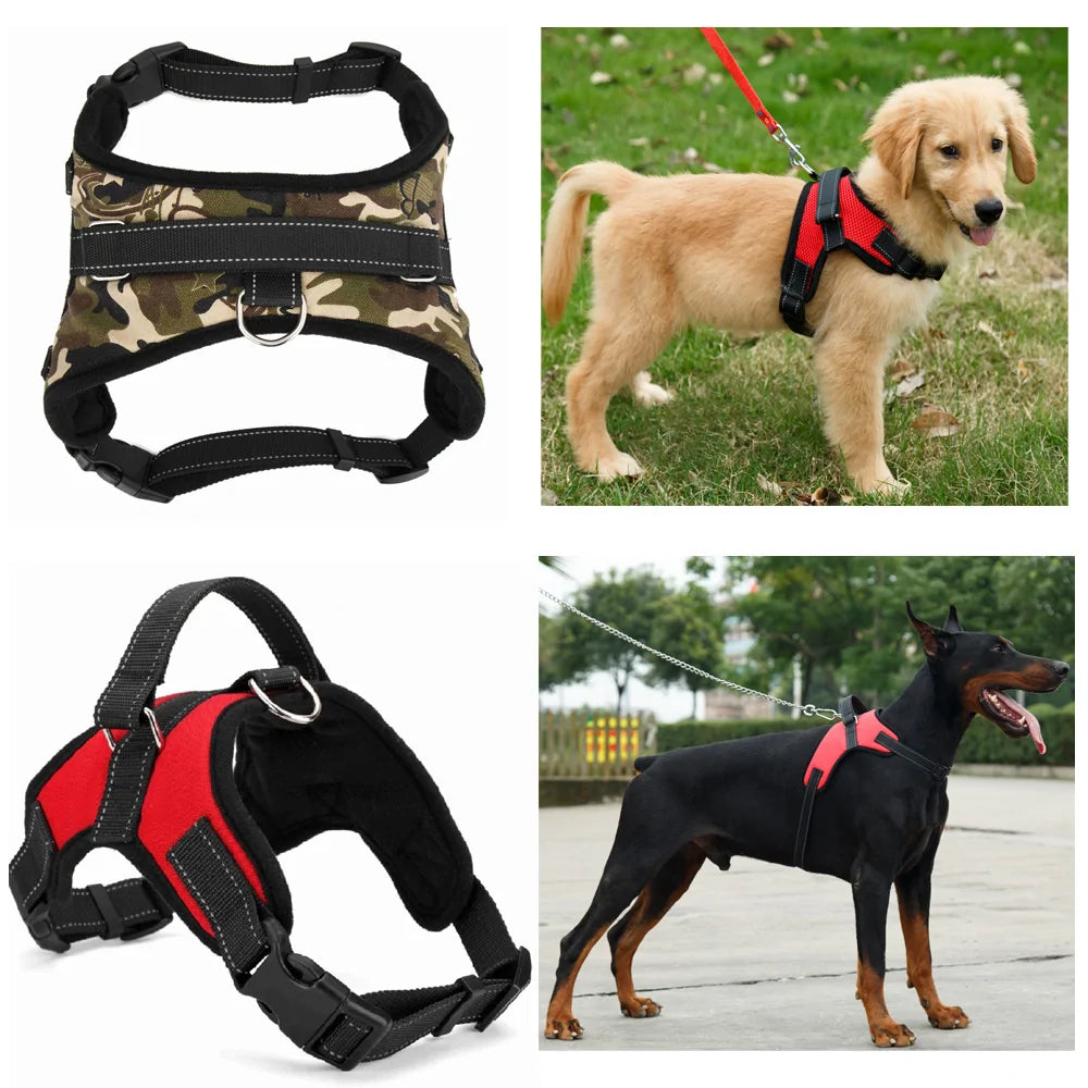 Adjustable Harness