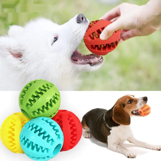 Interactive Rubber Dog Toy