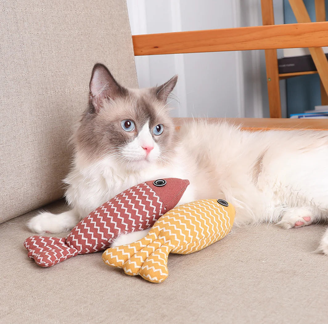 Fish Cat Toy