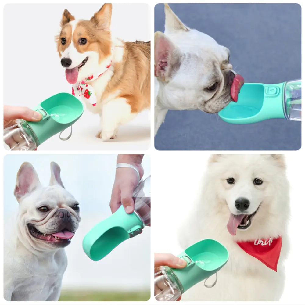 Doggy Water Bottle