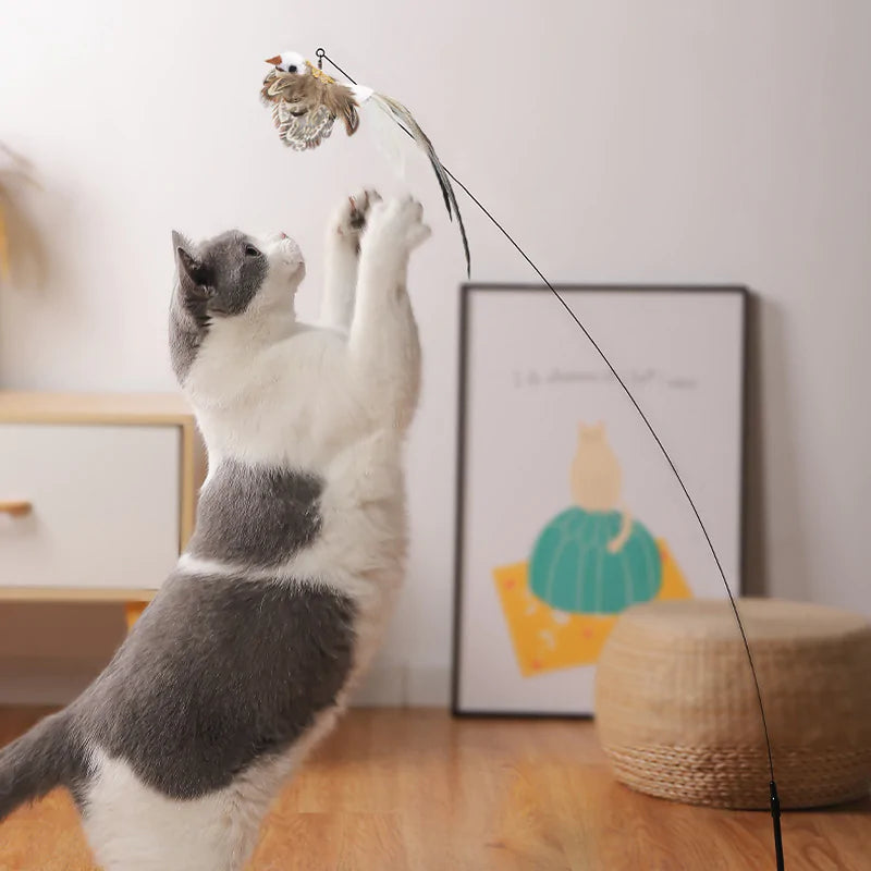 Bird Toys For Cats