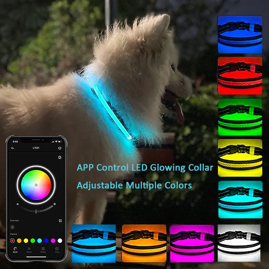 LED Light Up Collar