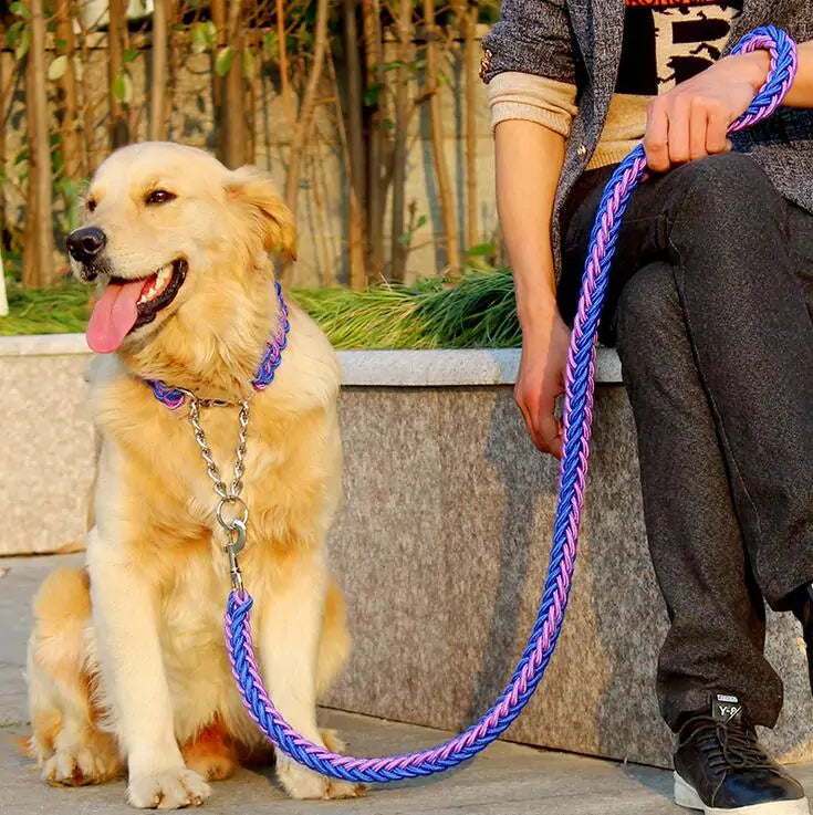 Braided Leash & Collar Combo