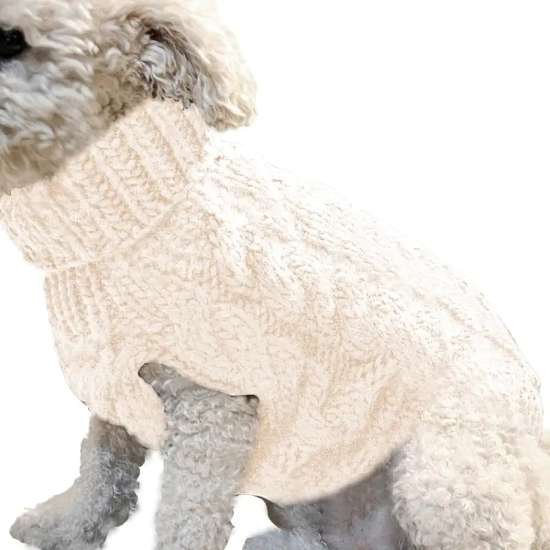 Winter Pet Sweaters