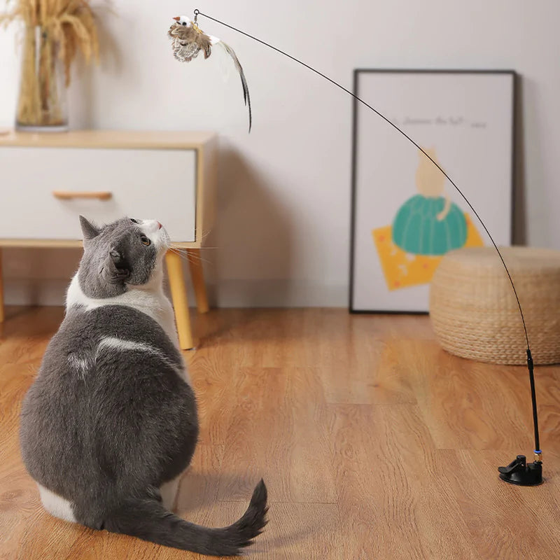 Bird Toys For Cats